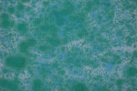 Image - blue-green fabric
