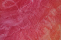Image - red fabric 2