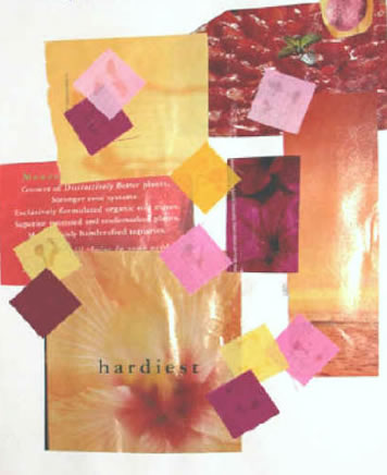 Image- Workbook sample