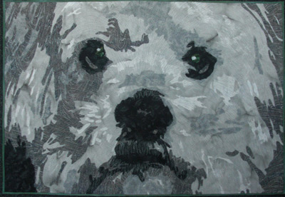 Image - white dog closeup