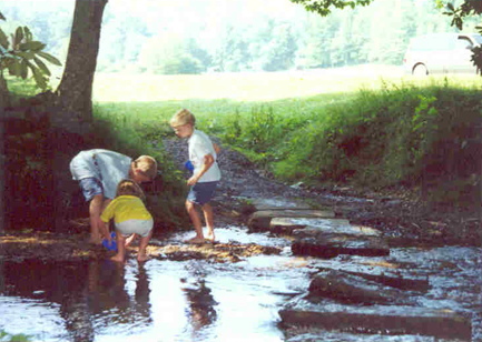 Image - Dam Builders photo