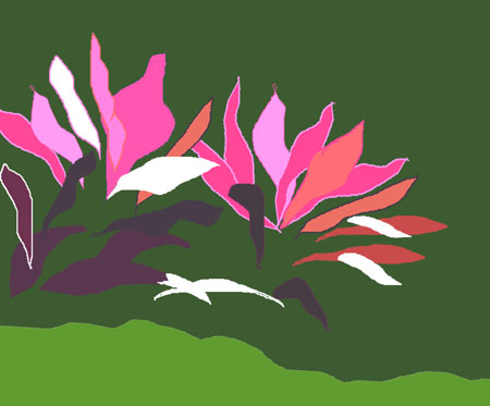Image - ti plants sketch