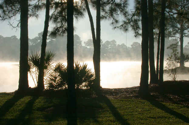 Image - Misty Lake photo